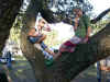kids_tree_depot_1_700.jpg (38860 bytes)