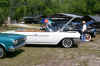car_show_6.jpg (119593 bytes)