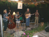 roadside_revue.gif (259435 bytes)