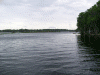withlacoochee_1.png (229122 bytes)