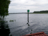 withlacoochee_2.png (198010 bytes)